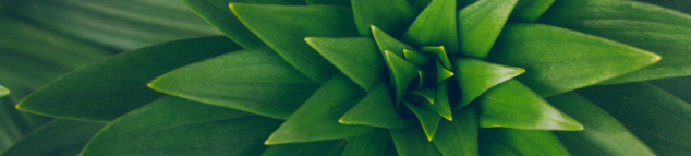 Plan banner background